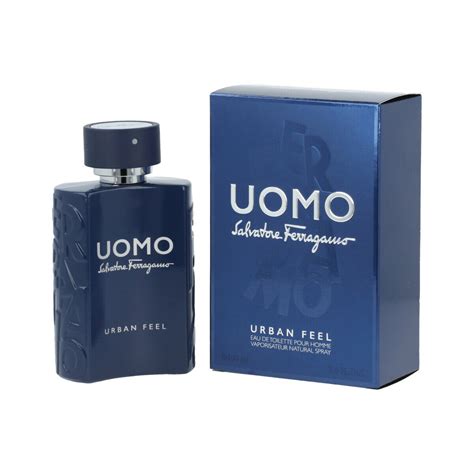 uomo ferragamo fragrantica